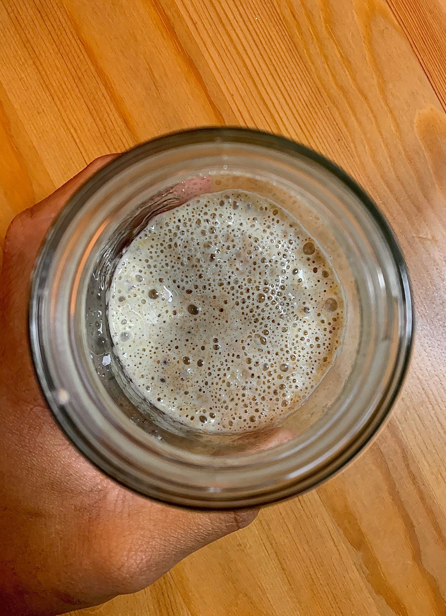 Sourdough Starter