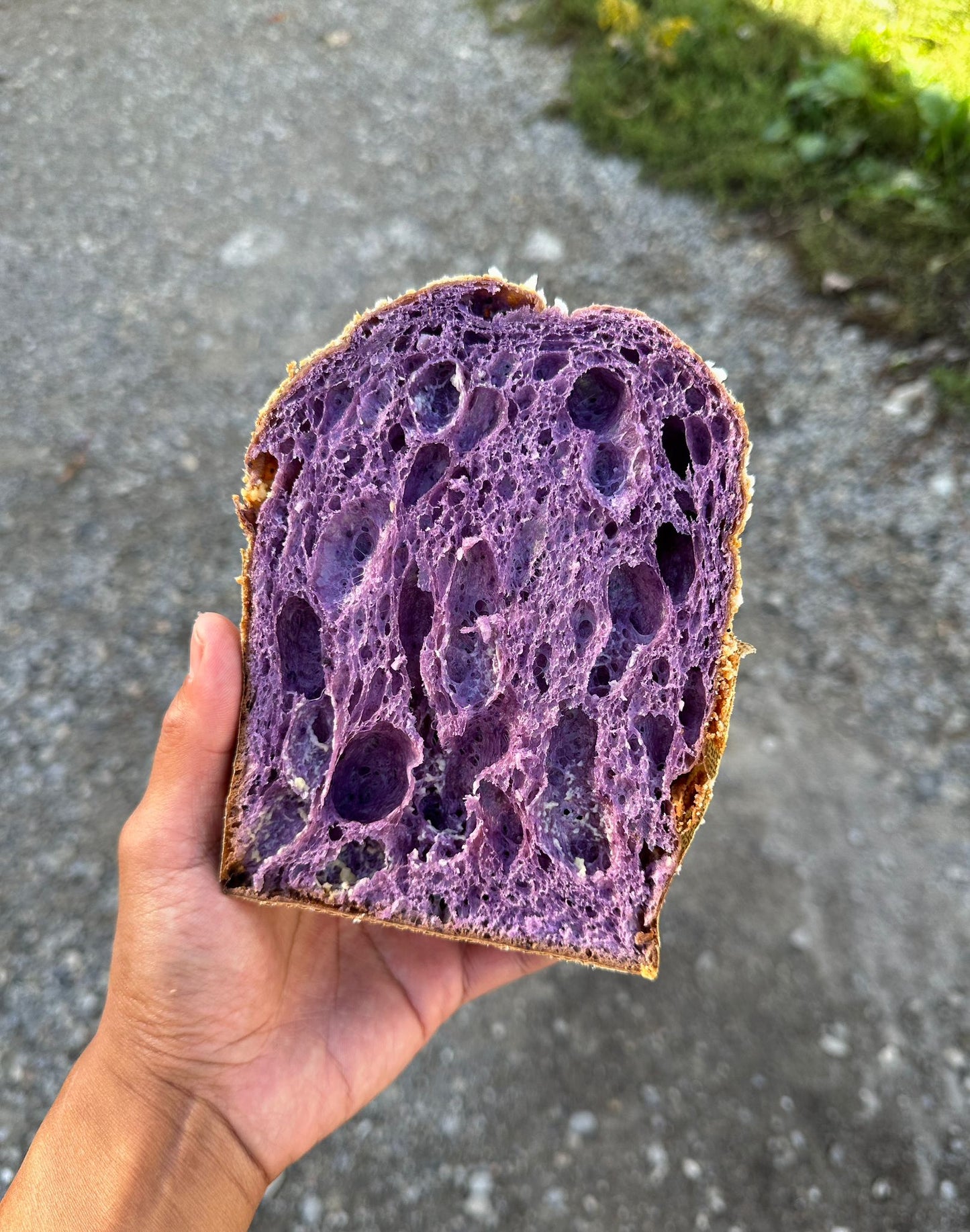 Ube and Coconut Panettone