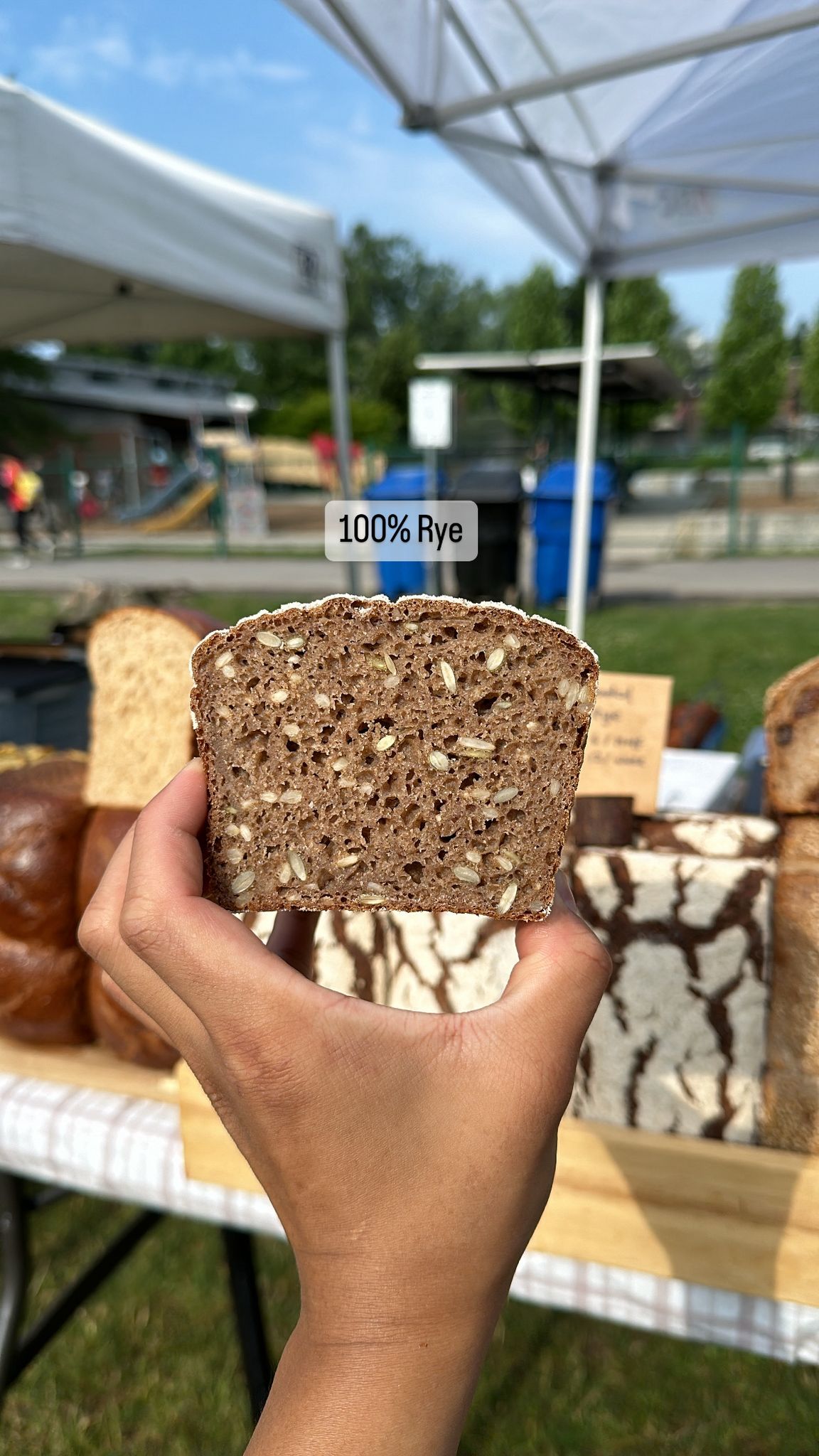 Intro to Rye Bread (February 1, 2026)