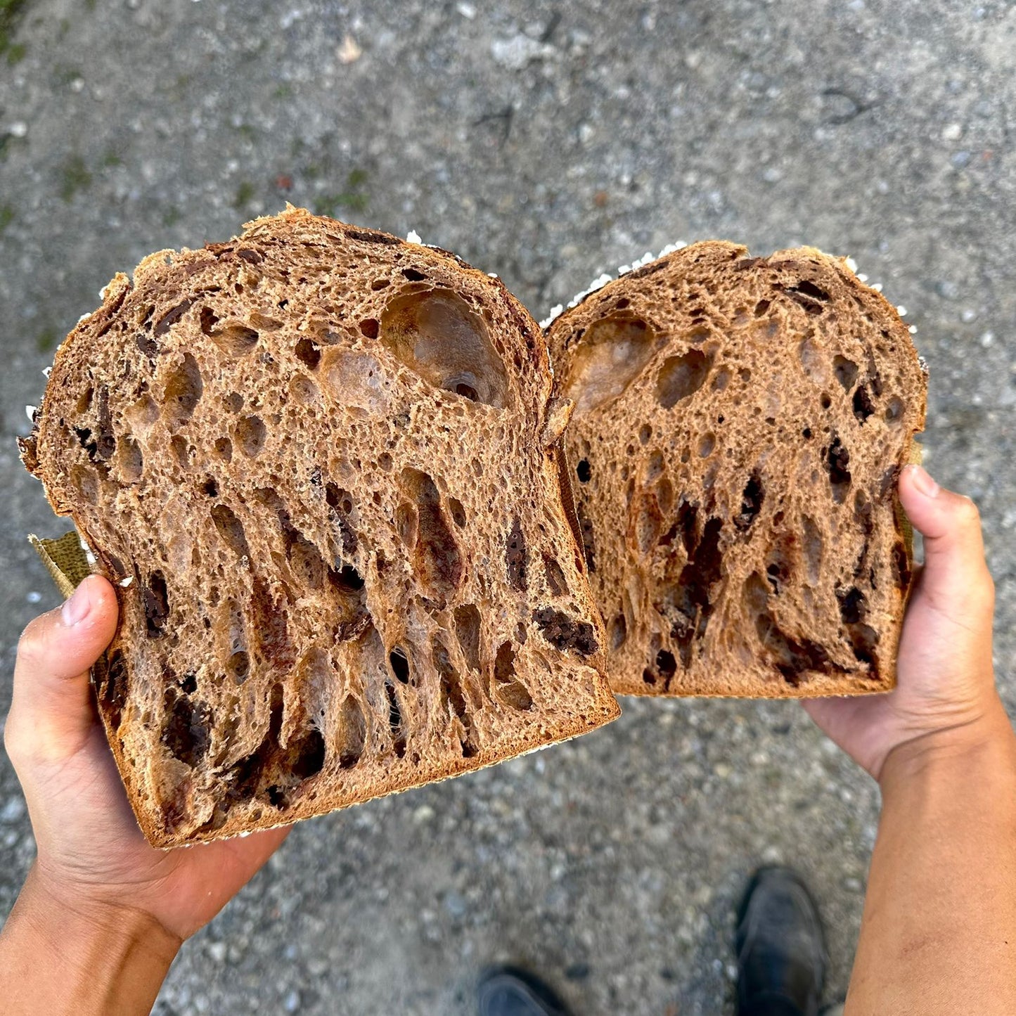 Triple Chocolate & Caramel Panettone
