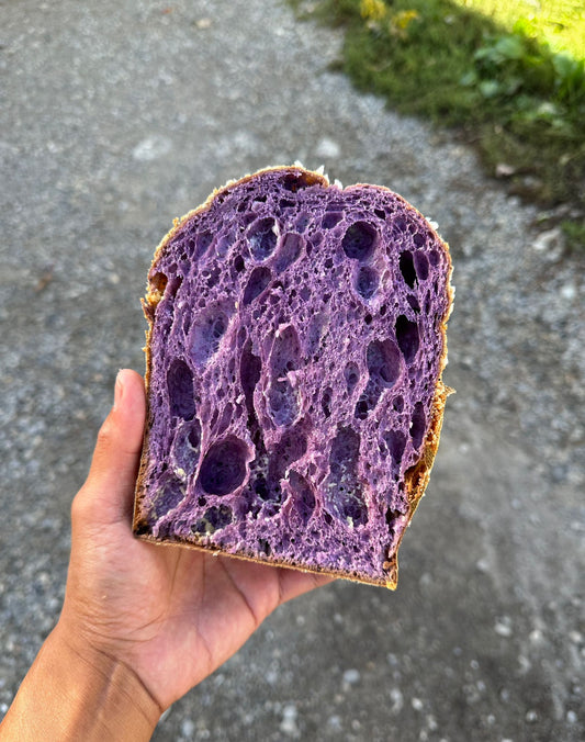 Ube and Coconut Panettone