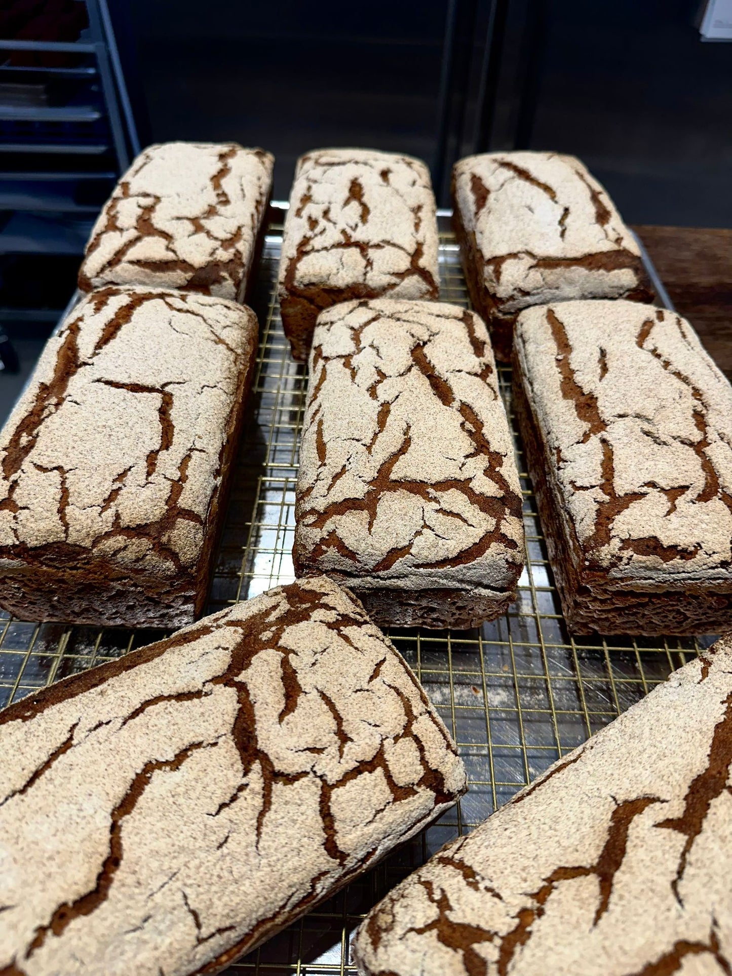 Intro to Rye Bread (February 1, 2026)