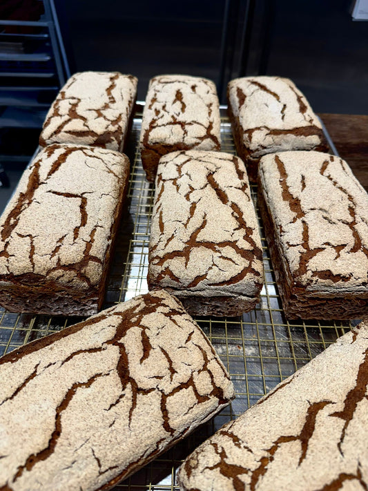 Intro to Rye Bread (February 1, 2026)