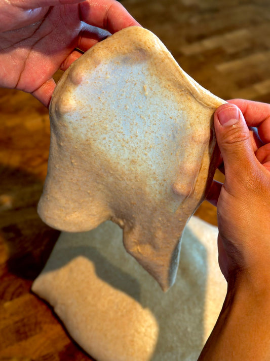 Baking with Freshly Milled Flour (February 22, 2026)